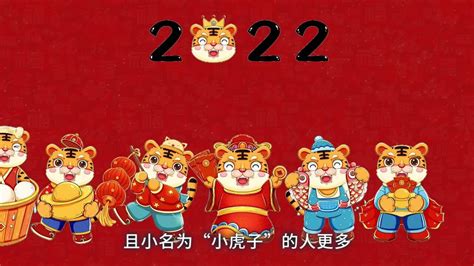 壬寅虎年|虎年（传统历法年份）